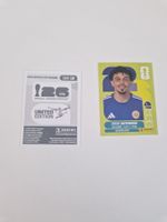 Panini Sticker CUW18