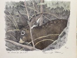 LITHOGRAPHIE ORIGINALE DE DOMINIQUE COSANDEY "LE LIÈVRE"
