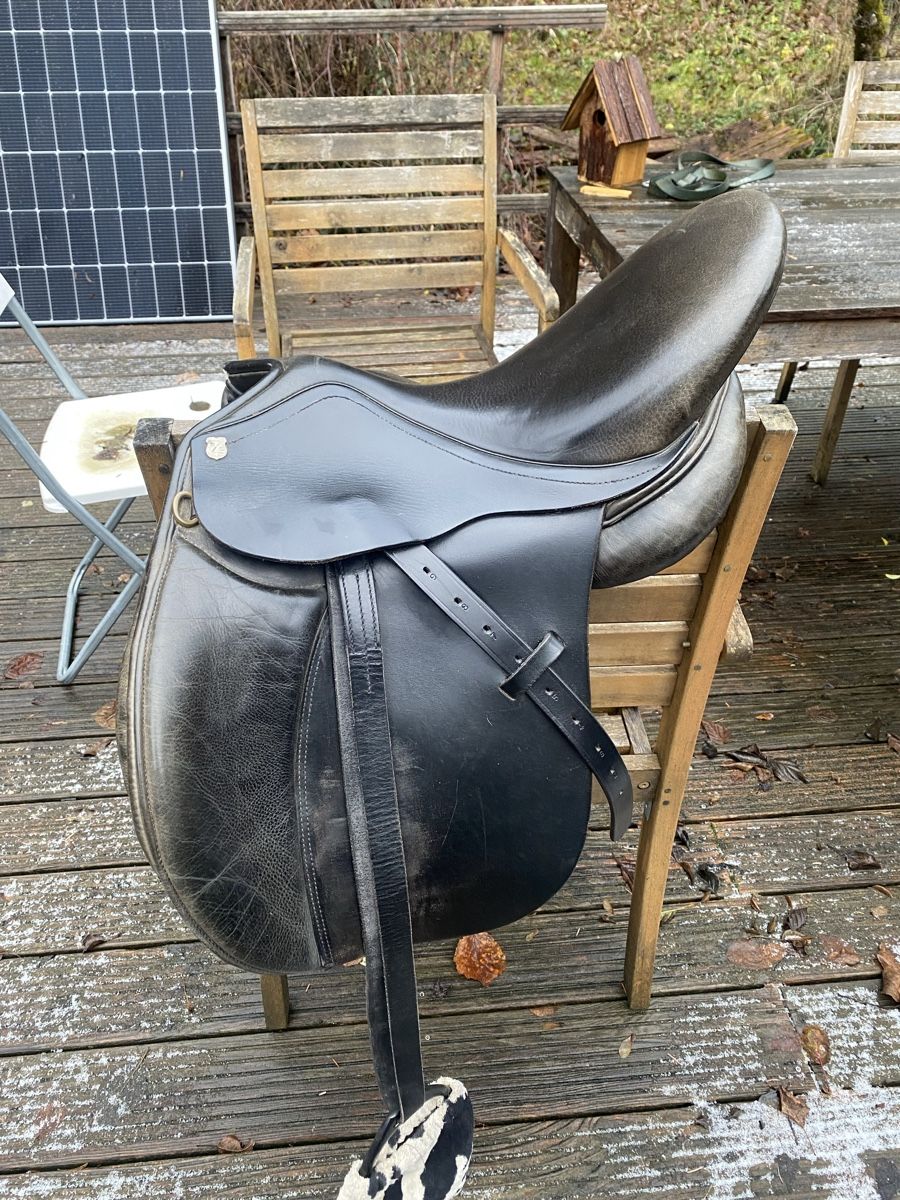 Selle & Accessori: MASSIMO Sattel Vielseitigkeit 17 Zoll – Usato da Muri b. Bern venduto da jan_jr2w