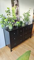 Hemnes Kommode - Massivholz 160x96cm - Ikea