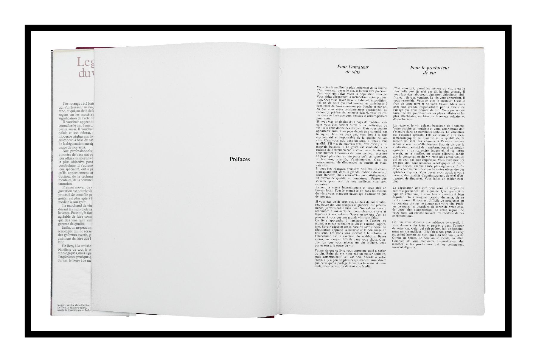 Libri: ÉMILE PEYNAUD "Le Goût du vin" 1re édition 1980 – Usato da Onex venduto da gonsla 7