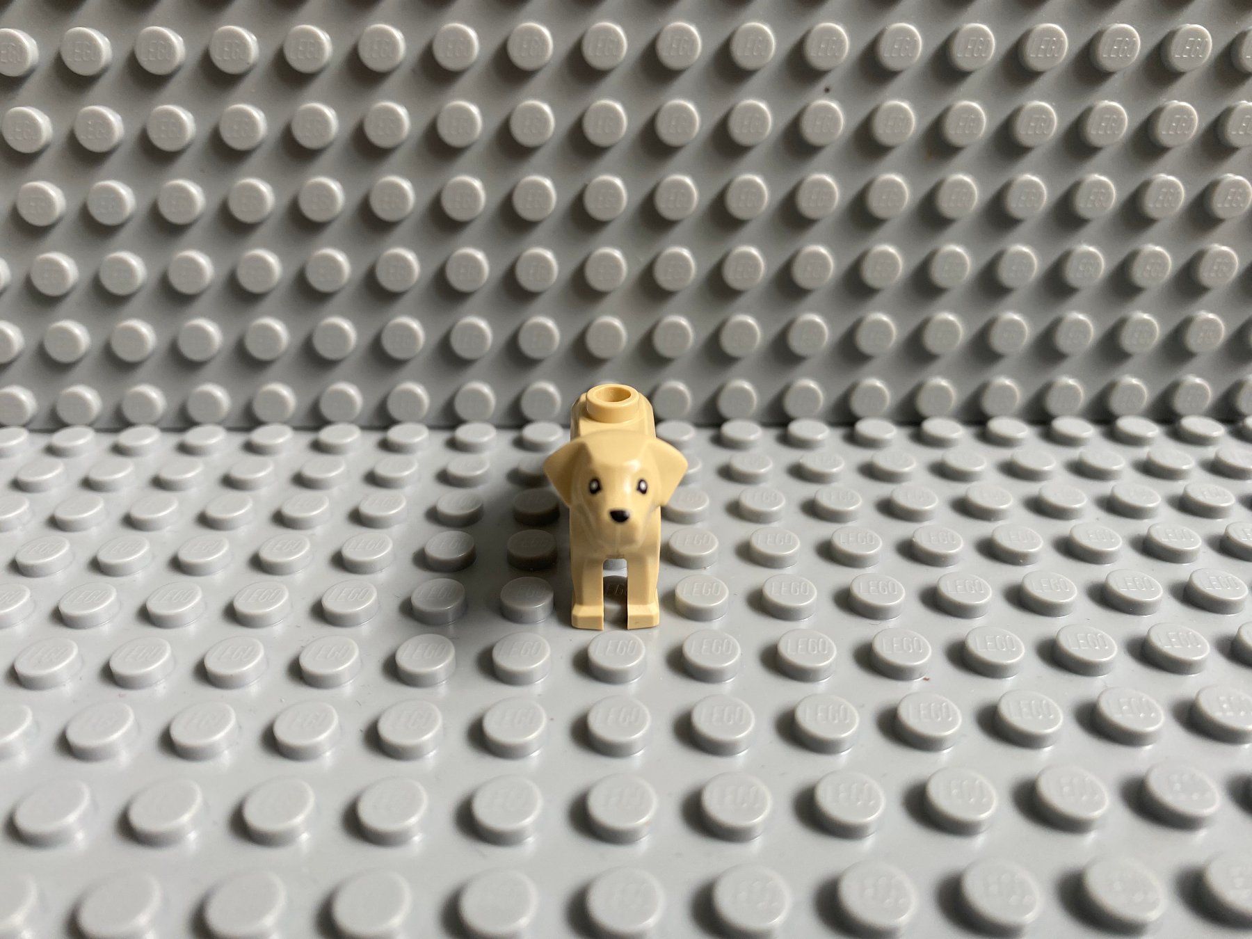 Lego Baukästen: Lego Tiere - Hund Labrador – Neu (gemäss Beschreibung) aus Horw von G39517sG 2
