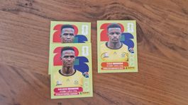 Panini FIFA World Cup WM 2026 / RSA7 11
