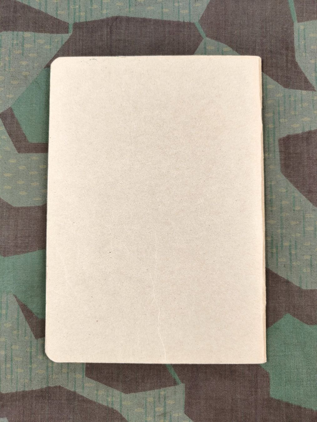 Schweizer Armee Uniformi: Reglement 51.18 d, Ausbildungsmethodik, 1968 – Usato da Bauma venduto da SwissMilitaria 1