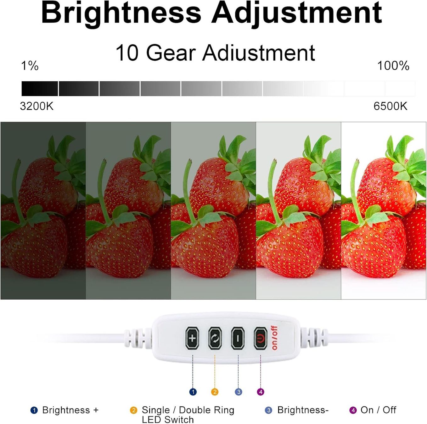 Altri Accessori: Fotostudio Lichtbox 23cm – Nuovo e nell'imballaggio originale da Châtelaine venduto da topshop.switzerland 4
