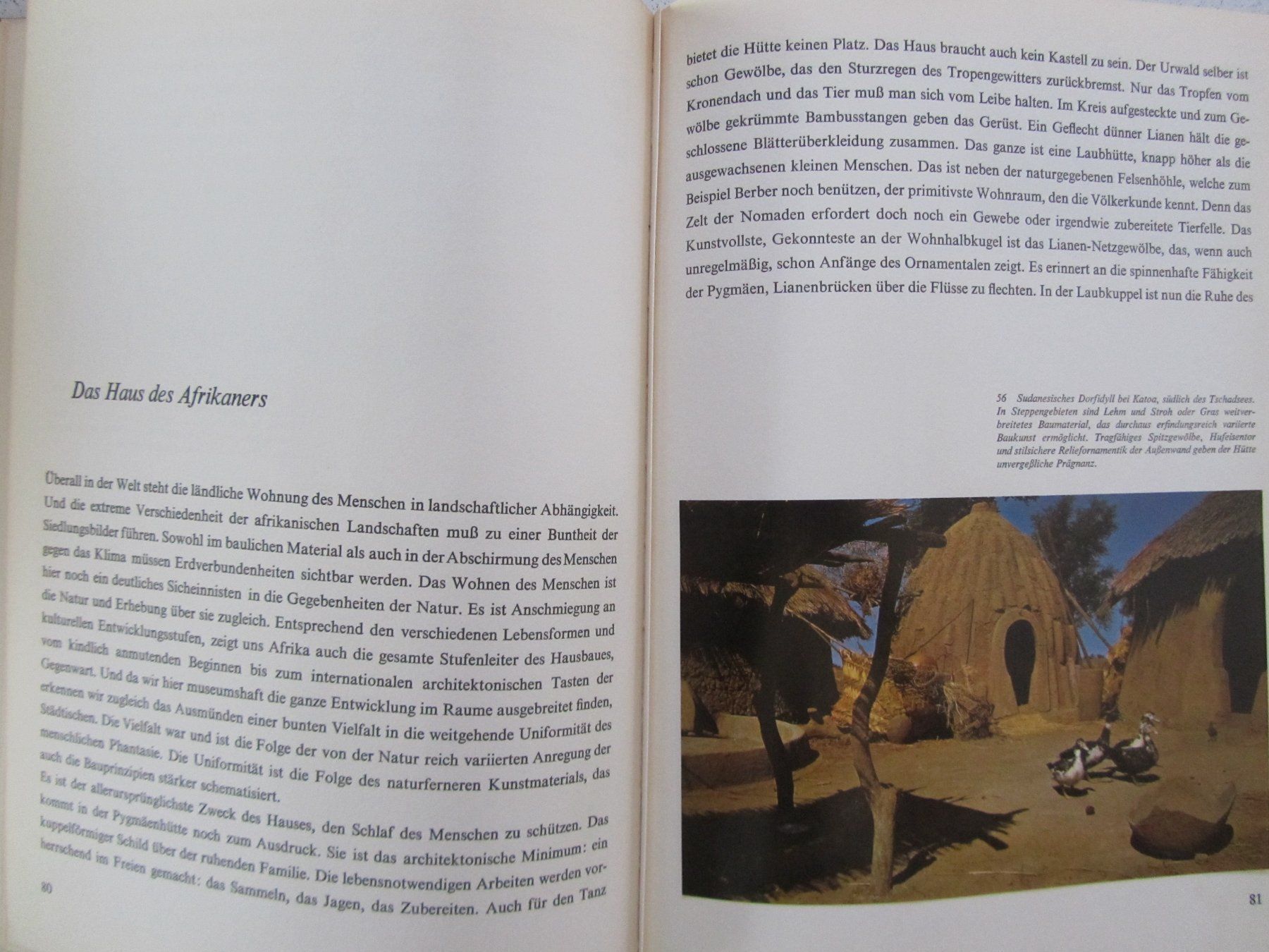 Libri: Afrika, Wüste Steppe Urwald - Silva Buch von 1963 – Usato da Weiningen ZH venduto da dietsch57 8