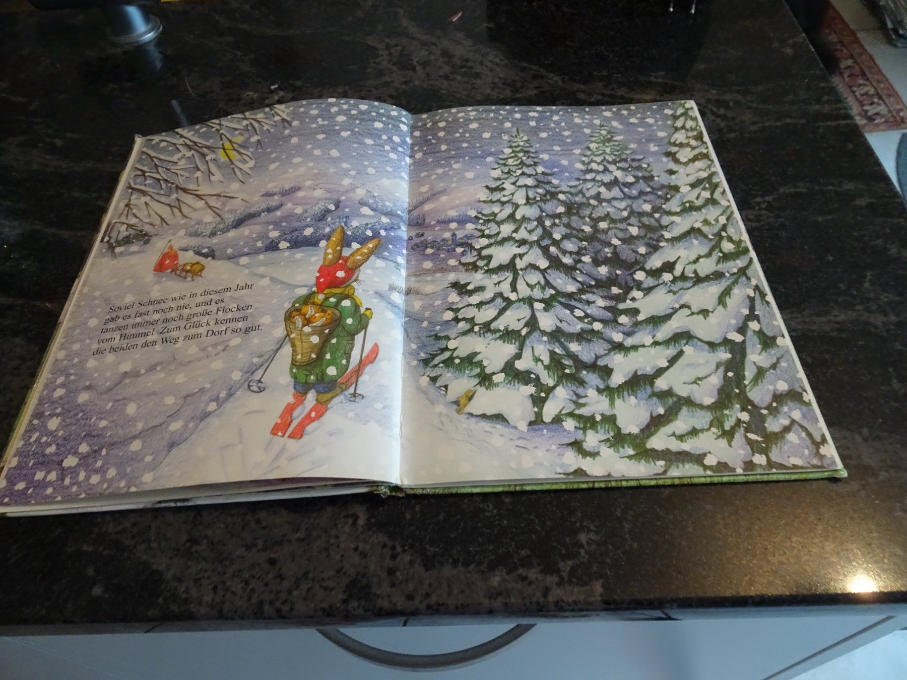 Libri: Bilderbuch: Ein Schokoladebaum vom Nikolaus gebraucht  SE6 – Usato da Zürich venduto da Roulet 5