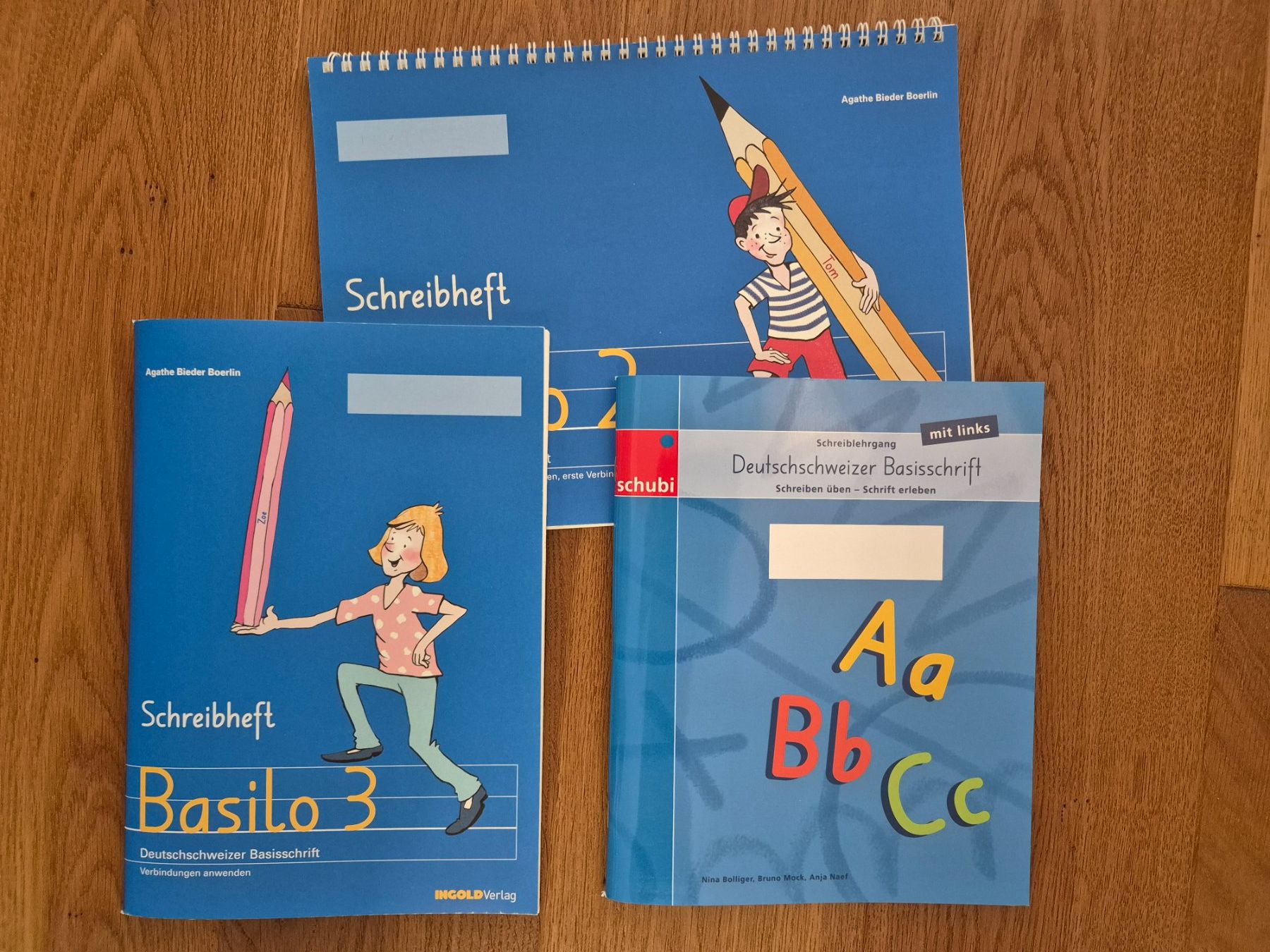Libri: Lernhefte, Basisschrift – Usato da Unterseen venduto da Kau99 2