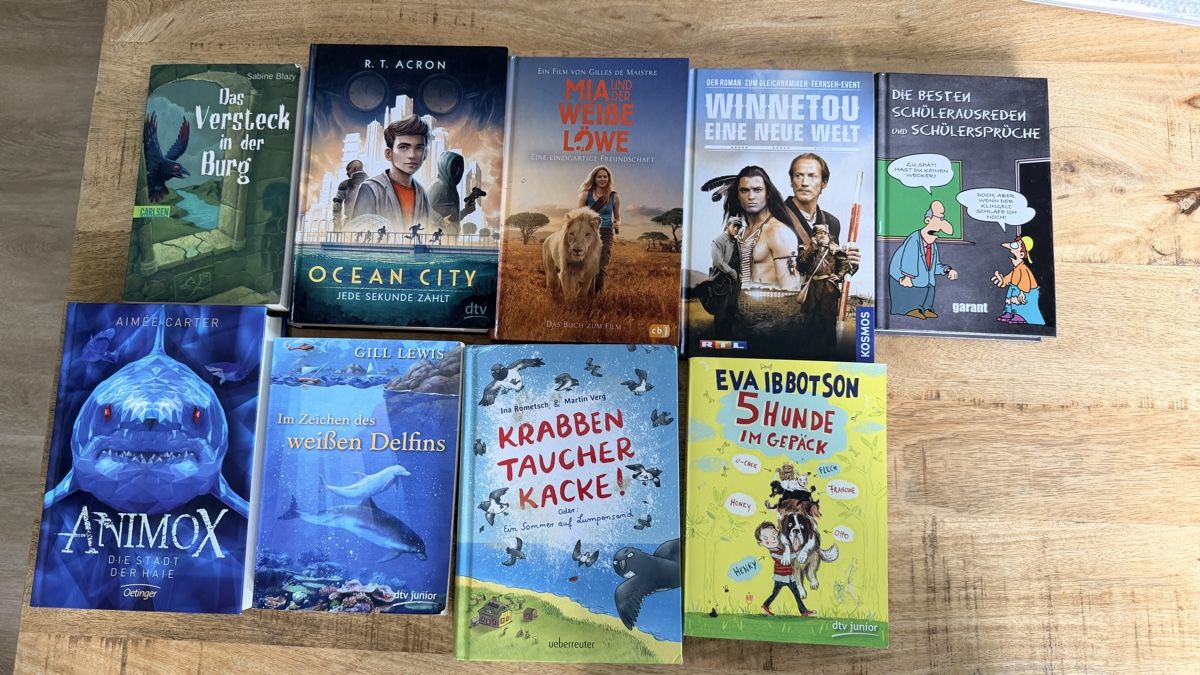 Livres: Kinderbuch-Paket – D'occasion à Mörigen par Foy29 2