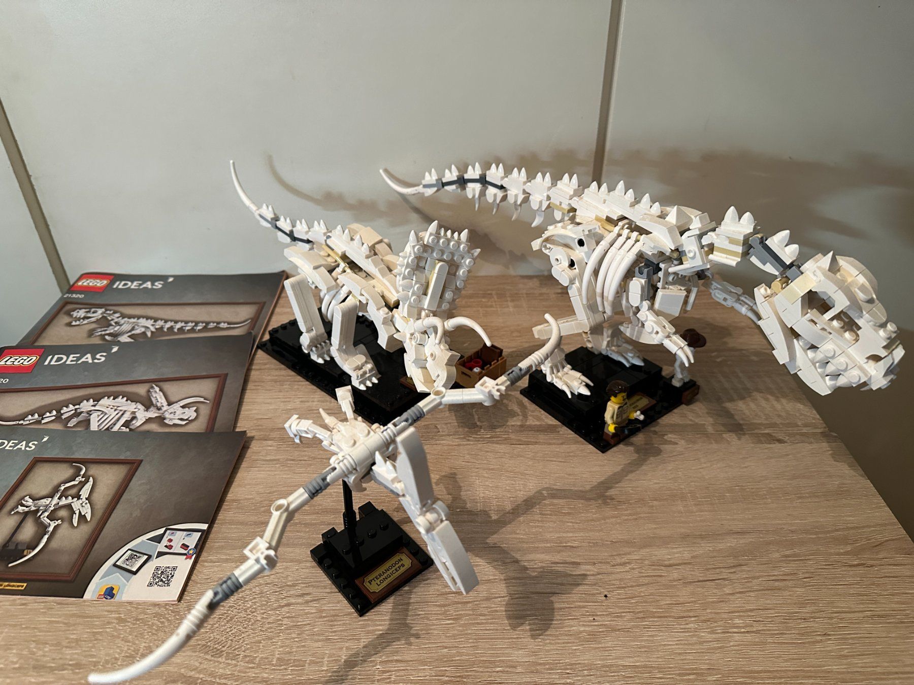 Lego Kit di costruzioni: LEGO 21320 Dinosaur Fossils – Usato da Basel venduto da Don-Angel 3