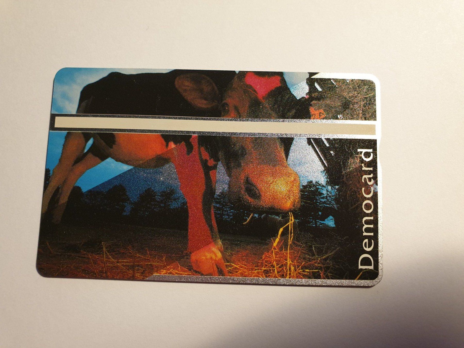 Schede telefoniche: Democard – Usato da Rain venduto da chesz