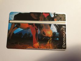 Democard