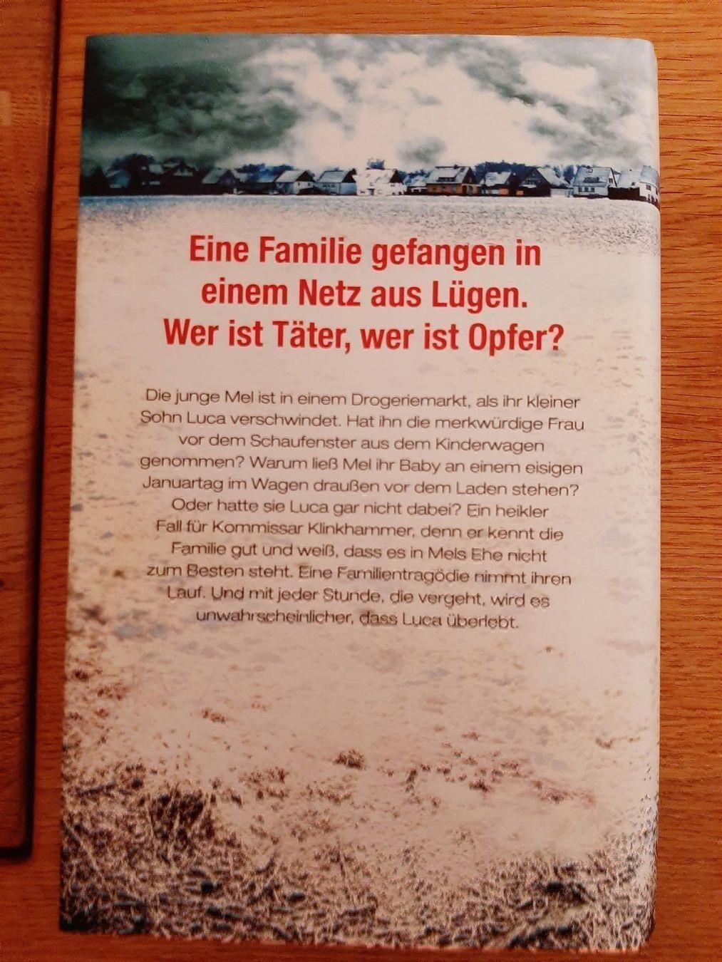 Libri: Petra Hammesfahr Als Luca verschwand – Nuovo (secondo la descrizione) da Affoltern am Albis venduto da Sabinezc 1