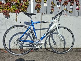 Rennrad Villiger Bachata Gr.50 (S/M)