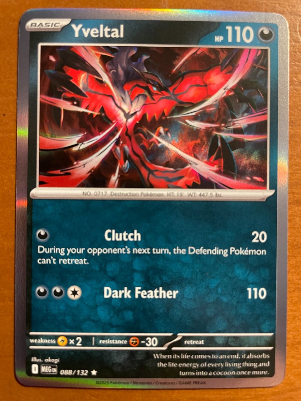 Pokémon Sammelbilder & Trading cards: Pokemon Yveltal Holo (Versand gratis) – Neu (gemäss Beschreibung) aus Chur von Angerson