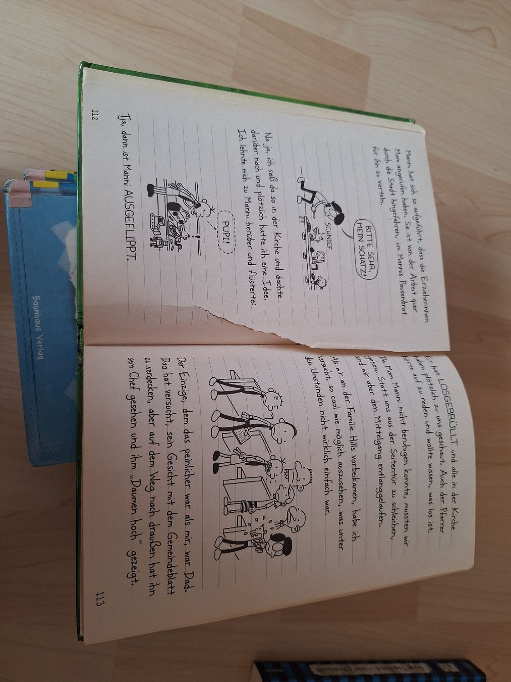 Libri: Gregs Tagebuch – Usato da Wanzwil venduto da chlinih93 2