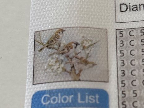 Kit bricolage: Diamond Paiting Vögeli 40x30 – Nuovo (secondo la descrizione) da Amriswil venduto da SCHLOSSGEISTLI