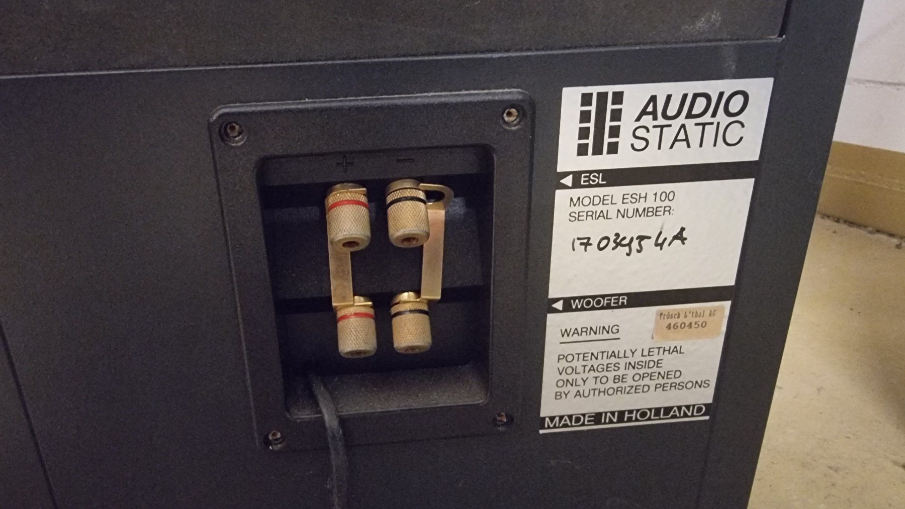 Casse acustiche: Audiostatic ESH 100 Hybrid – Difettoso da Schöfflisdorf venduto da Silvervintage.CH 2