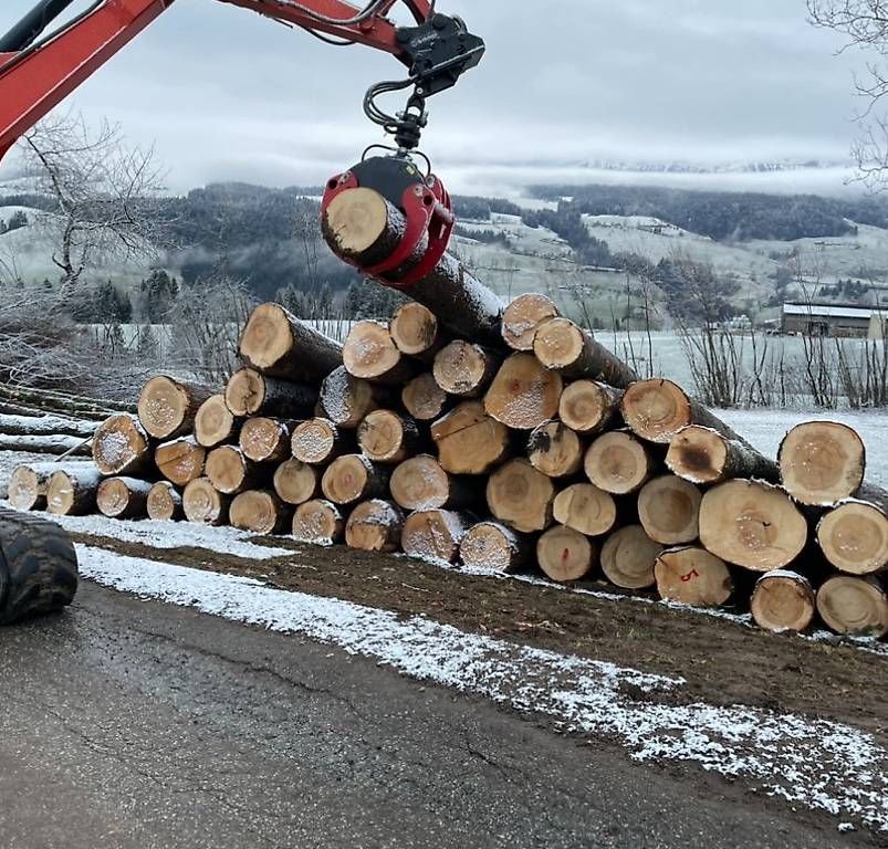 Greifer: Holzgreifer/ Holzzange inkl. Rotator – Gebraucht aus Steinhuserberg von FK93 1