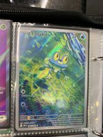 Pokemon Karte Froakie 088/086 Illustration Rare neu