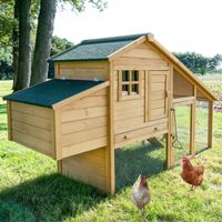 Komfort Hühnerhaus Hühnerstall & Nistkasten - Gratis Versand