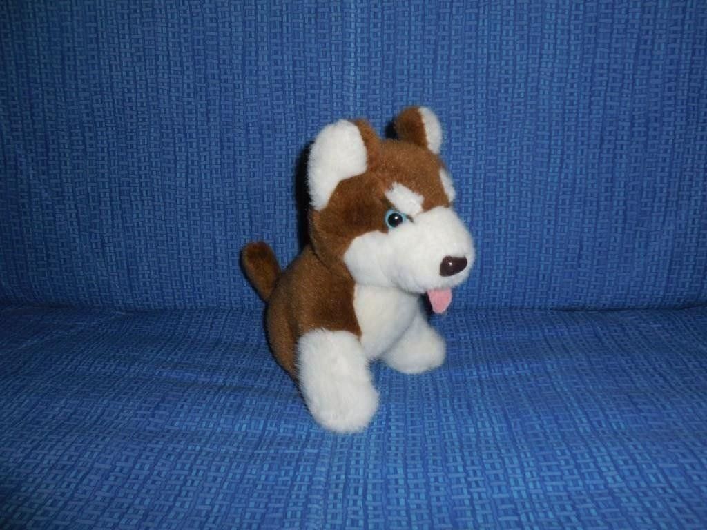 Jouets: Plüsch Hund – D'occasion à Galgenen par Marc98