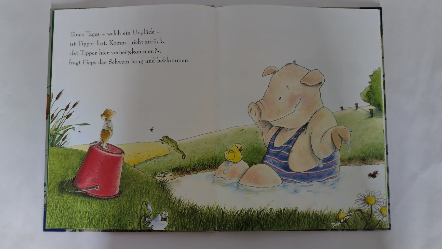 Libri: Wo bist du? / Bilderbuch 2004 ab Fr. 8.- / 2 Anfänge – Usato da Bellach venduto da JingleJerry 6
