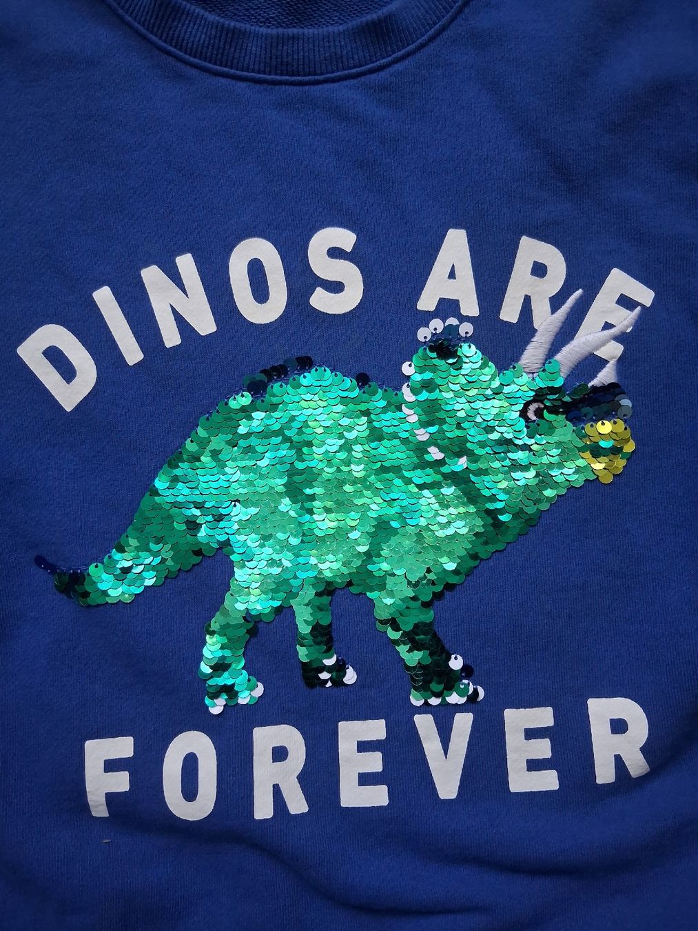 H&M Maglioni & Felpe: Kinder blau cooles Pulli Gr. 134 mit Dinosaurier-Paillet – Usato da Zürich venduto da Leders 1