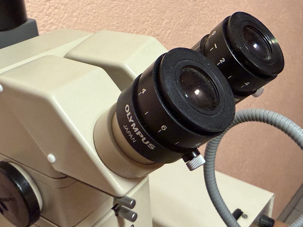 Olympus Mikroskopie: Microscope Olympus SZH 10 – Gebraucht aus Bassecourt von 59.00chf 4