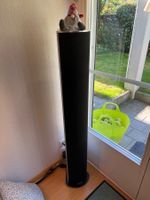 Piega LDR 4.2 Standlautsprecher  aktiv