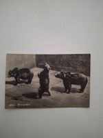 AK Bern Bärengraben, Edition Franco-Suisse, gelaufen 1927