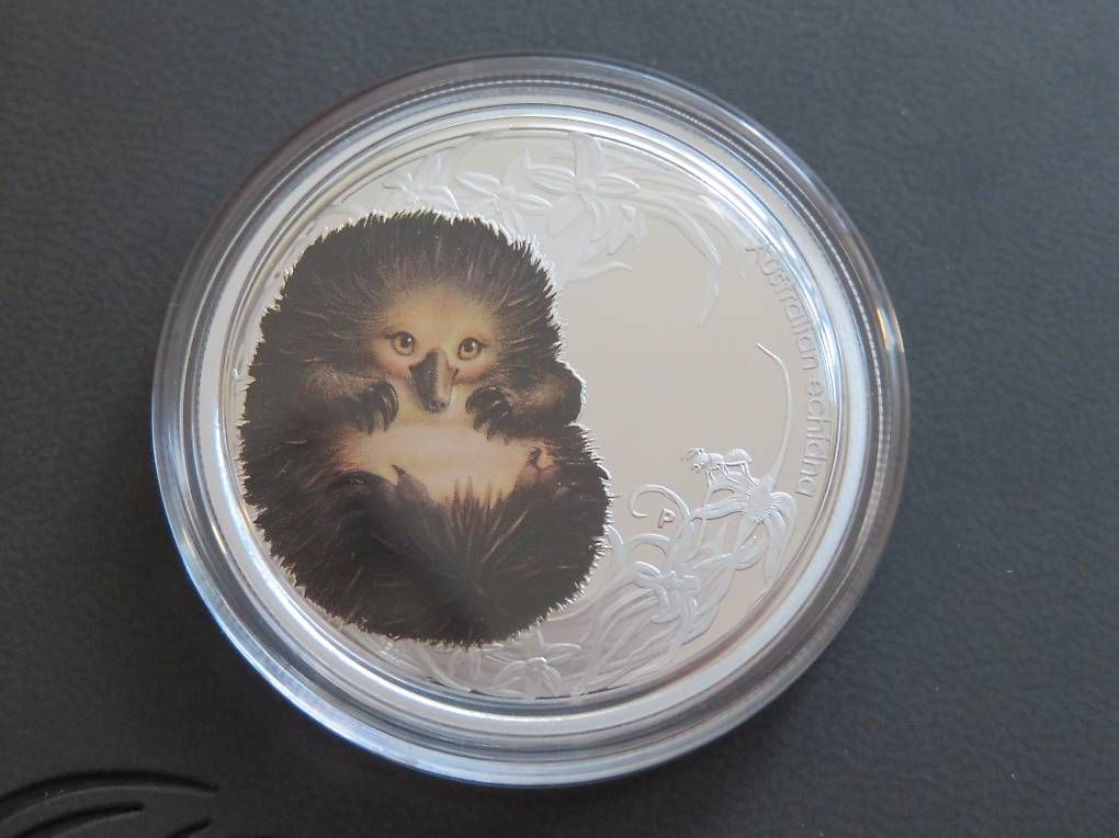 Tutti le monete: Bush Babies II 1/2 Oz Silber Proof -Echidna -2013+ Box+COA – Nuovo (secondo la descrizione) da Wetzikon ZH venduto da Nicki6 1