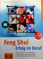 Feng Shui  Erfog im Beruf