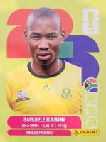Panini FIFA World Cup RSA 5
