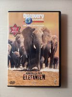 Königreich der Elefanten 