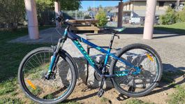 Stevens Team AC MTB Grösse XS, 27.5er Räder