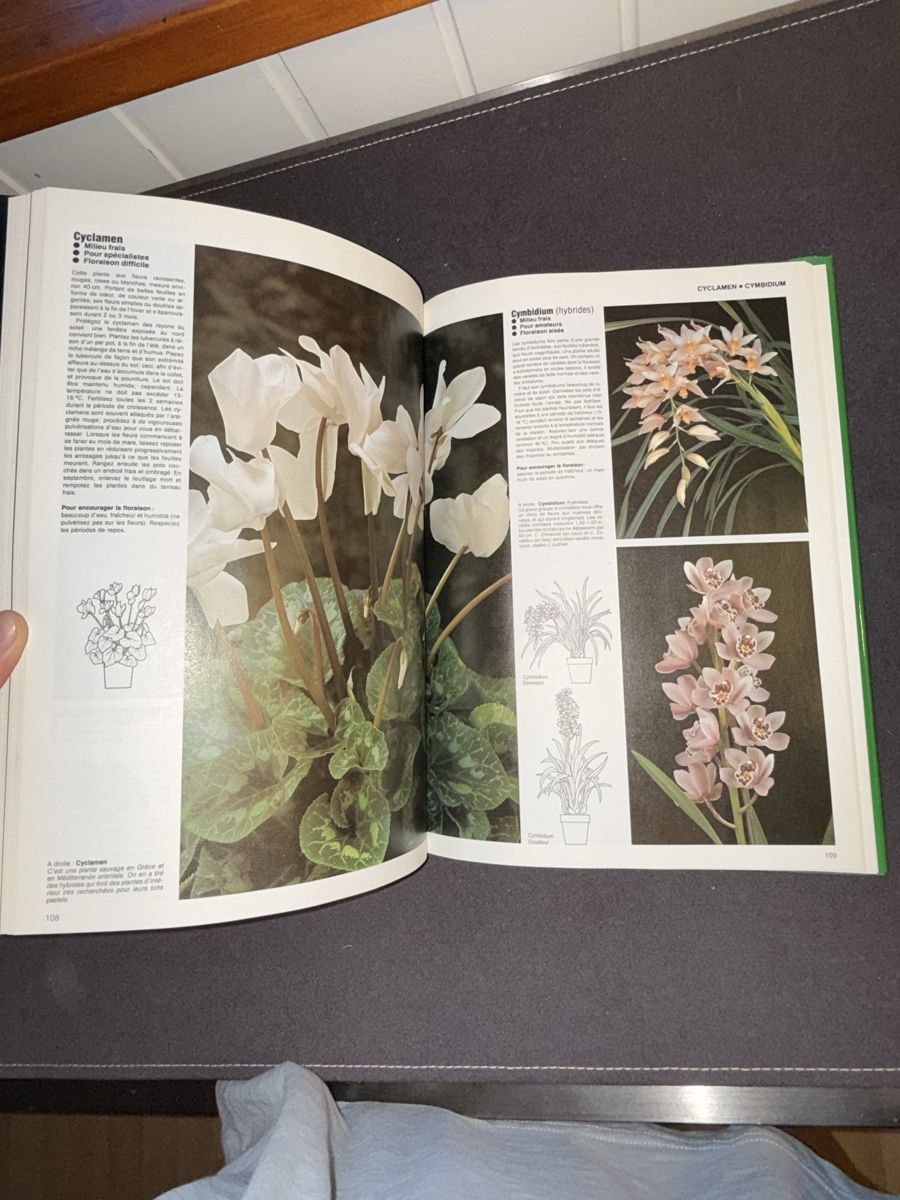 Bücher: Livre – Gebraucht aus Le Sentier von CannelleVintage13 5