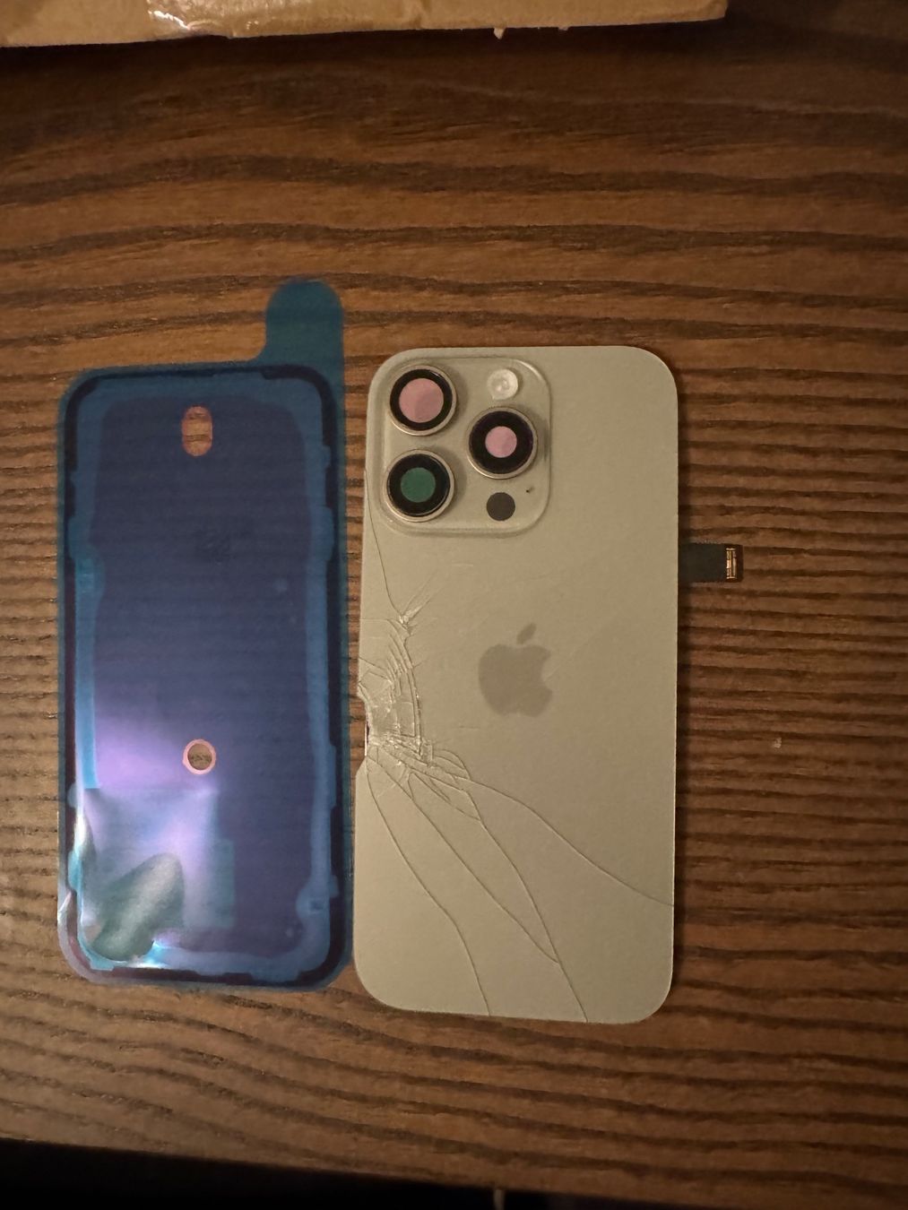 Apple Telefoni cellulari / Smartphones: iPhone 16 Pro Rückseite mit NFC, Wireless Charging, Blitz – Difettoso da Emmenbrücke venduto da WorldofTech