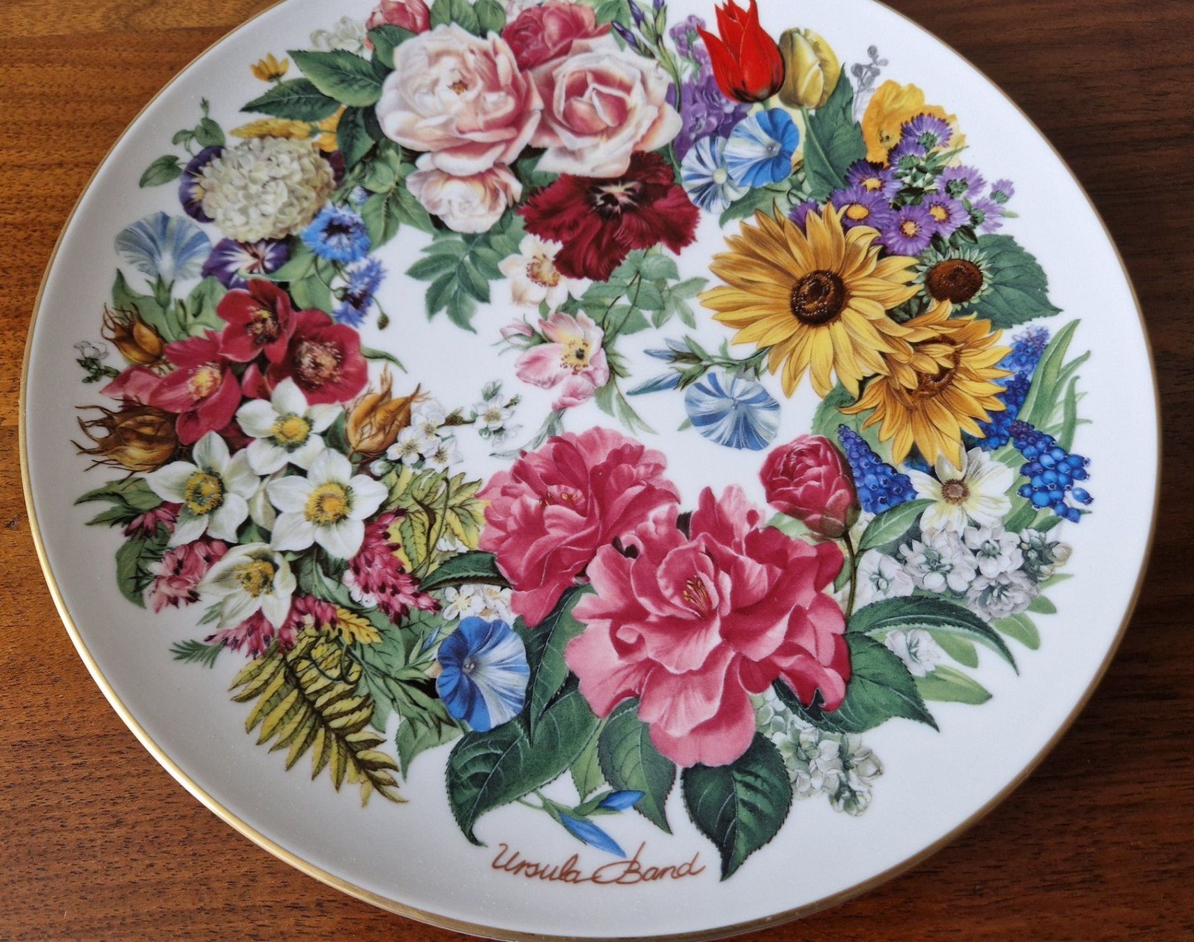 Hutschenreuther Teller: Sammelteller/Wandteller Hutschenreuter – Neu (gemäss Beschreibung) aus Bern von Antikbatik 1