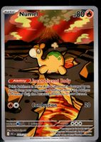 Pokémon – Numel 🇺🇸 - ASC-223 - Ascended Heroes