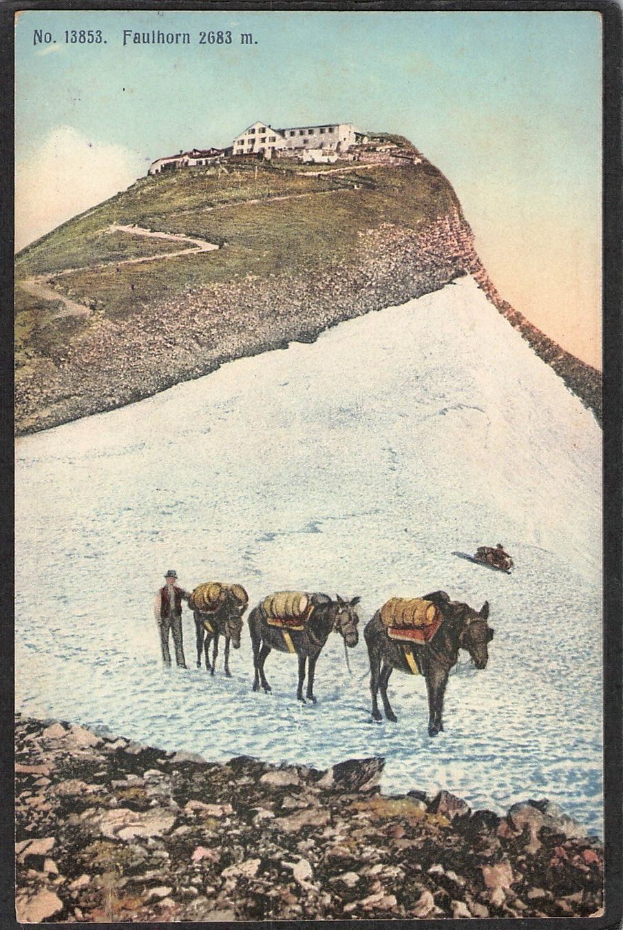 Cartoline postali: ,Ak Faulhorn – Usato da Reichenburg venduto da ibiza18
