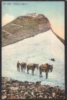 ,Ak Faulhorn