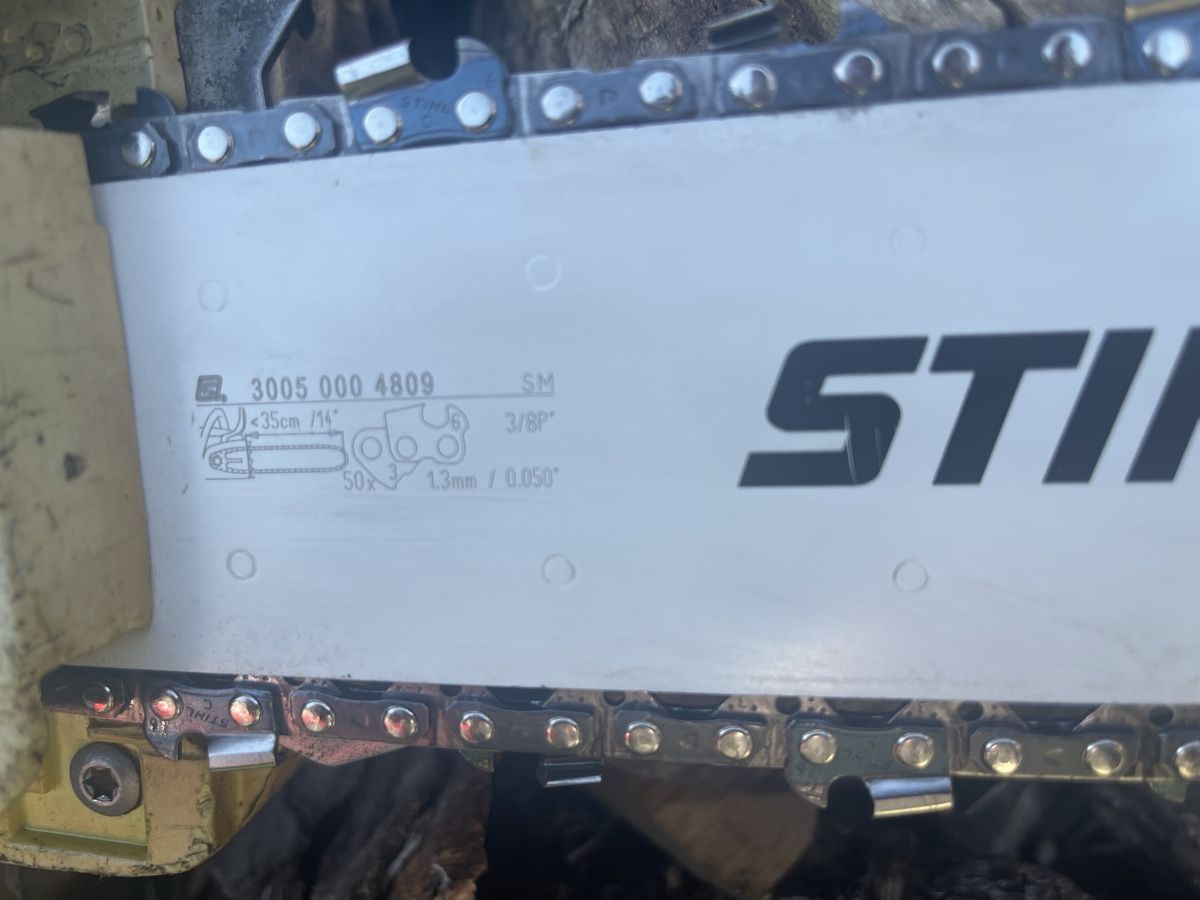 Stihl Seghe: Stihl MS 231 Motorsäge – Usato da Bern venduto da SVTools 5