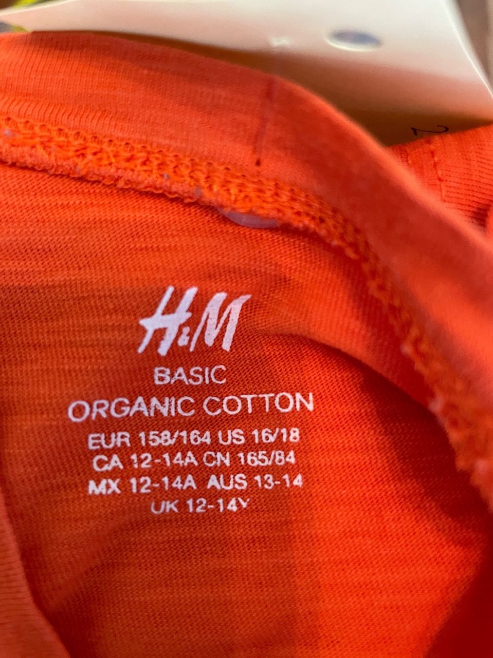 H&M Camicette, T-shirt & Top: T-Shirt 158/164 – Usato da Neuenkirch venduto da balani 2