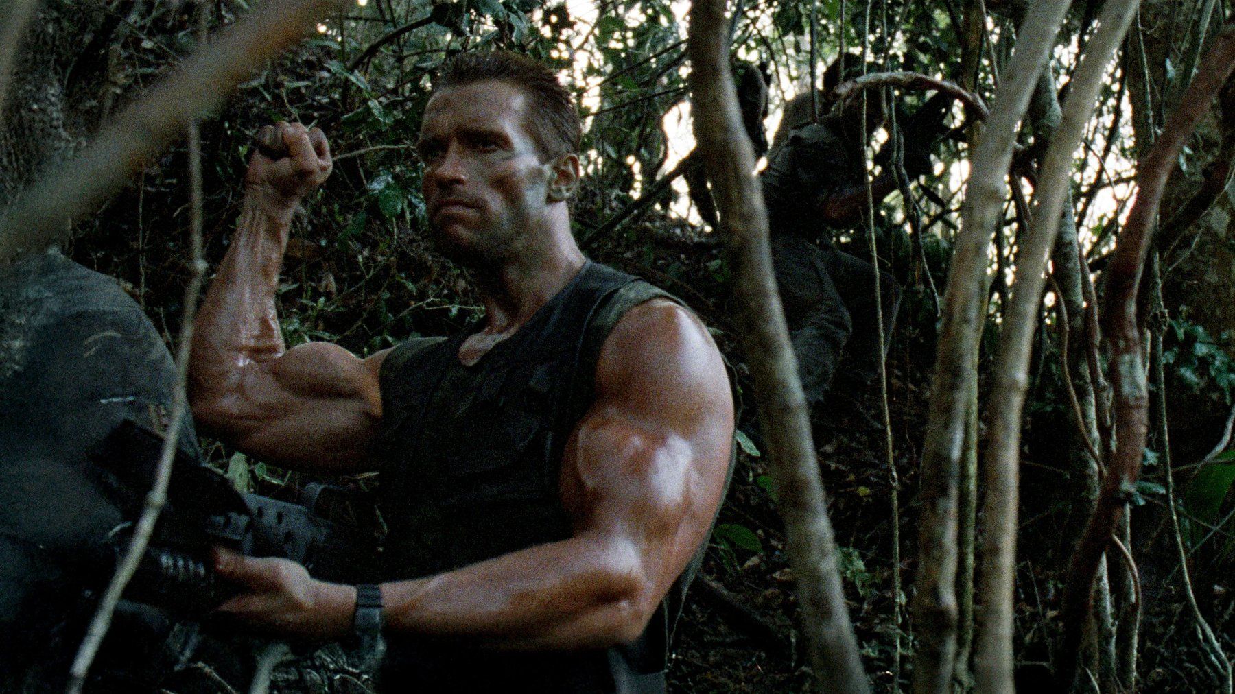 Tutti i DVDs: Predator (1987) 4K UHD+BD/UNCUT/Arnold Schwarzenegger – Usato da Volketswil venduto da cinephilia 6