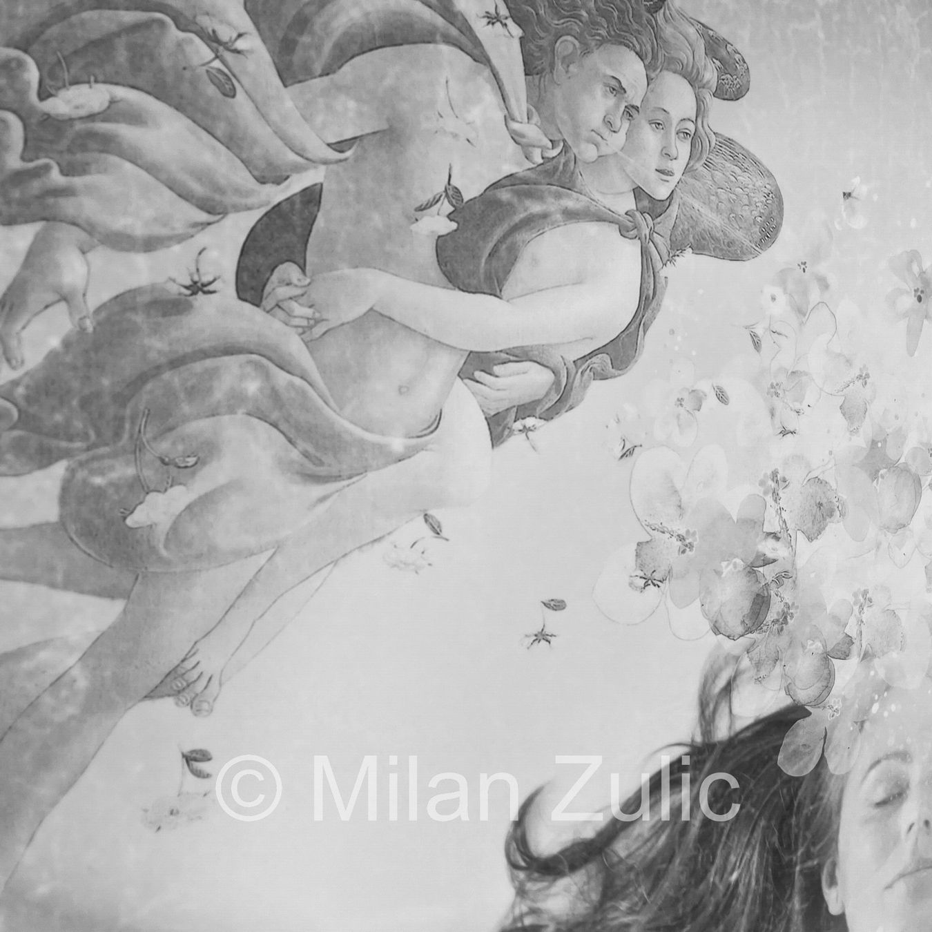 Foto & Immagini: Milan Zulic - Ingravido 001 – Nuovo (secondo la descrizione) da Uetikon am See venduto da mil_7k2b 5