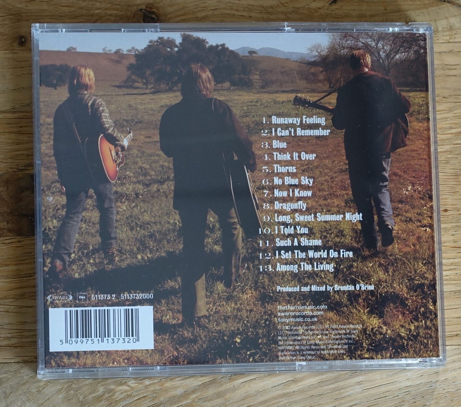 CD: The Thorns - F13 – Usato da Sessa venduto da fraenklishop 1