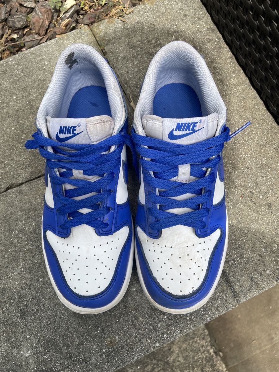 Nike Scarpe da uomo: Nike Dunk Low, taglia 38 blu/bianco – Usato da Gudo venduto da sox80