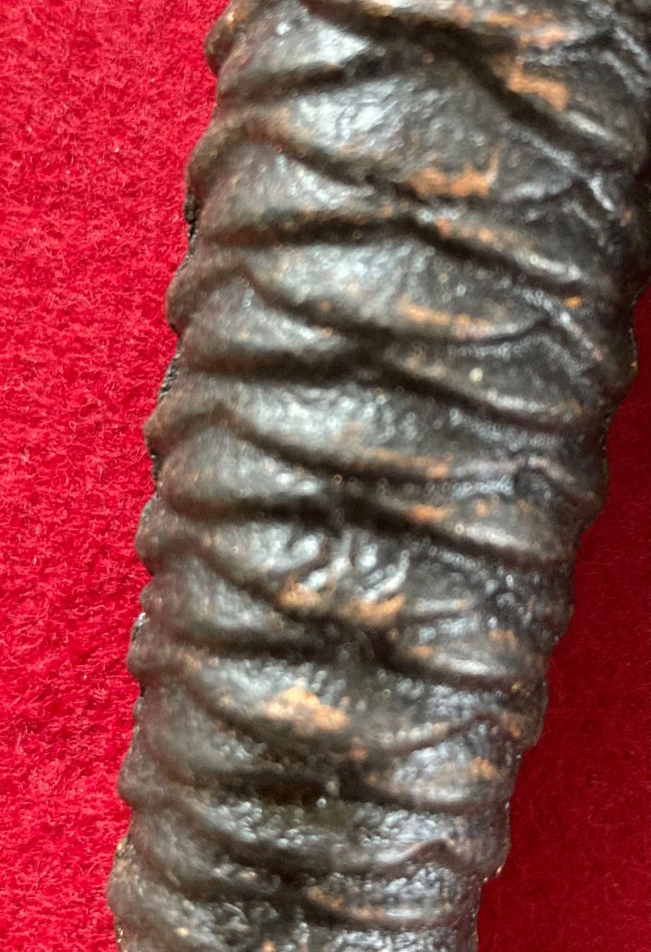 Orologi da terra & Orologi da parete: Uhrengewichte – Usato da Einsiedeln venduto da Brocki59
