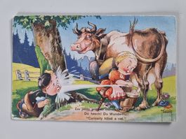 Carte postale vintage, humoristique, vache et enfants n° 35